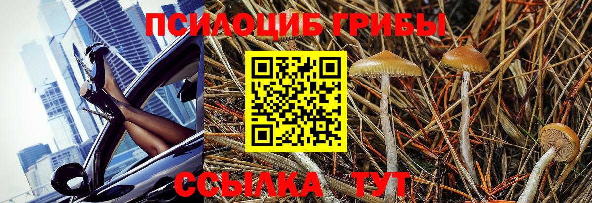 Псилоцибиновые грибы ЛСД Сальск