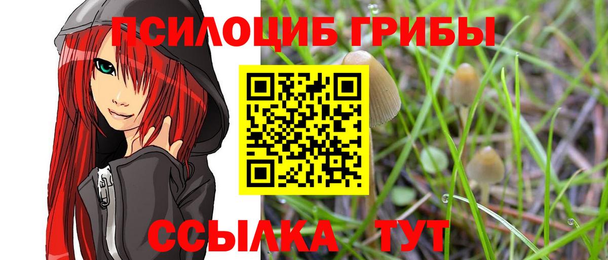 даркнет сайт  Галлюциногенные грибы прущие грибы  Вход с VPN  Сальск 